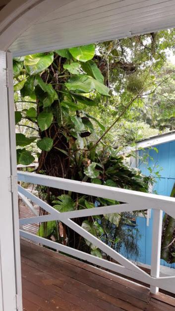 Pousada Ilha Do Mel Cafe Ngoại thất bức ảnh
